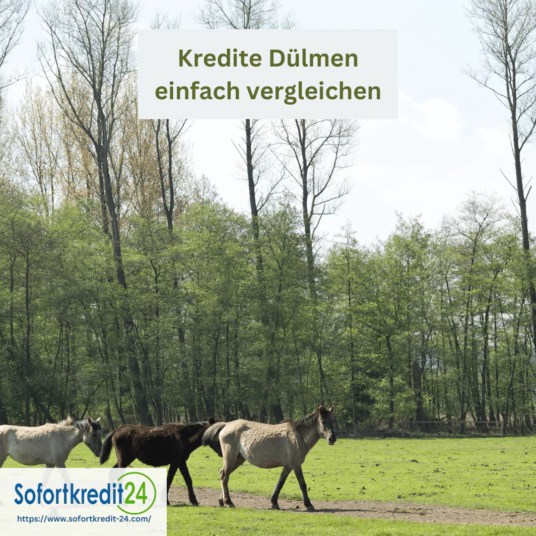 Jetzt kostengünstigen Kredit Dülmen sichern